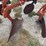 international-720-plow-image-10