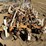 johnson-3-pt-3-row-60"-cultivator-image-7