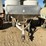 ag-spreader-200-9.5'x6'-s.s.-fertilizer-spreader-image-2