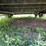 2022-norstar-ironbull-20’-x-83”-t/a-equipment-trailer-image-10