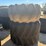 #41526-•-various-equipment-tires-image-1