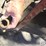 international-sickle-mower-image-14