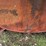 fuel-tank-image-14
