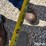 2014-mds-2115-pallet-fork-image-13
