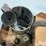antique-shop-oil-containers/lube-cans-image-14