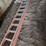 #24-•-40-ft-extension-ladder-image-3