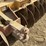 rome-taw32-30-16'-stubble-wheel-disc-image-11