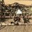 glencoe-32'-fold-up-field-cultivator-image-8