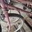 schwinn/trek/huffy-bicycles-image-13