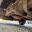#4554-•-2015-chevrolet-express-work-van-image-13