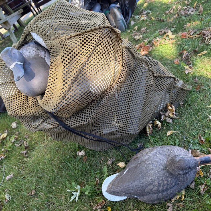 #8402 • Duck Decoys