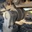 #4098-•-2015-john-deere-870g-lc-excavator-image-193
