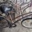 schwinn/trek/huffy-bicycles-image-19