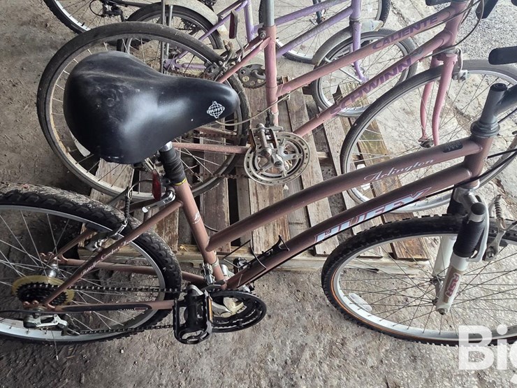 schwinn/trek/huffy-bicycles-image-19