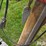 drill-press-&-tools-image-12