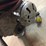 #35-•-rigid-300-pipe-threader-with-hand-truck-image-3