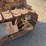 caterpillar-fifteen-image-8
