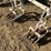 custom-3-pt-3-row-60"-bed-scratcher-image-12
