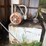 #42224-•-trash-compactor-image-9