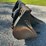 #326-•-2005-ingersoll-rand-wl-350-compact-wheel-loader-image-65