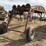 custom-38'-5th-wheel-implement-carrier-image-6
