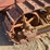 caterpillar-thirty-image-6