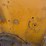 caterpillar-10-image-42