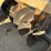 international-16'-unibeam-wheel-disc-image-13