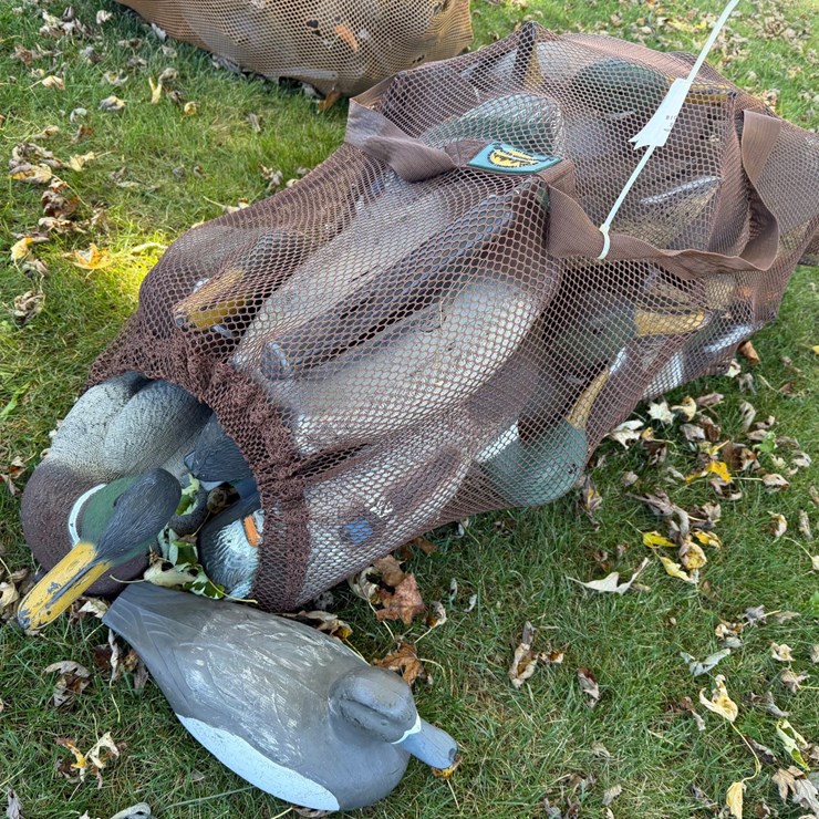 #8405 • Duck Decoys