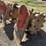 cat-24"-excavator-compaction-wheel-image-5