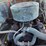 1971-chevrolet-c/50-grain-truck-w/-water-tank-image-20