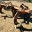 allis-chalmers-600-3-shank-hd-pull-ripper-image-4