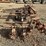 lilliston-3-pt-3-row-60"-rolling-cultivator-image-4