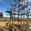 glencoe-32'-fold-up-field-cultivator-image-6