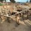 custom-3-pt-3-row-60"-cultivator-image-5