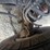 2021-ford-f350-image-65
