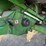 2012-john-deere-s670-combine-image-73