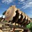 case-ih-770-23'-fold-up-wheel-disc-image-16