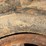 #41608-•-united-heavy-duty-skidder-tire-image-5
