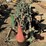 custom-3-pt-3-row-60"-hyd.-vine-trainer-image-7
