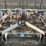 custom-3-pt-3-row-60"-cultivator-image-7