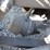 1991-freightliner-fla086-24'-3-axle-cab-&-chassis-image-23