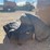 #41428-•-various-tarps-image-2