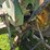 john-deere-3010-image-6