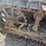caterpillar-thirty-image-9