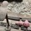 misc-lawn-&-garden-equipment-image-14