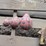 misc-lawn-&-garden-equipment-image-15