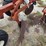 international-720-plow-image-9