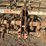 lilliston-3-pt-3-row-60"-rolling-cultivator-image-5
