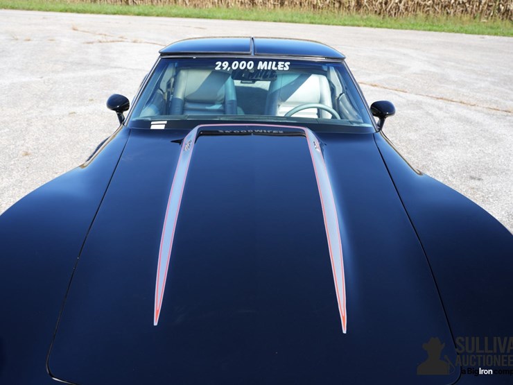 run-#71---1978-chevrolet-corvette-pace-car-edition-image-10